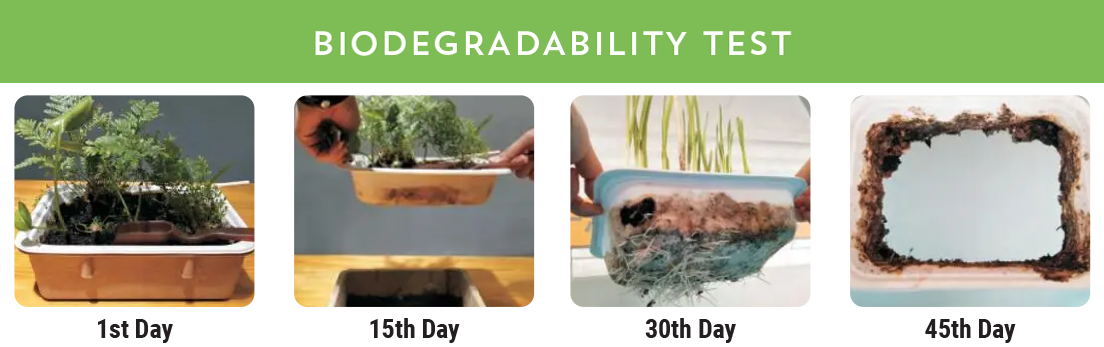 biodegradability-test